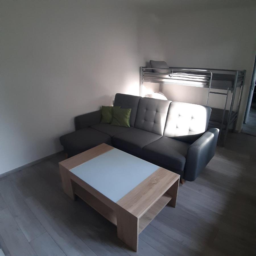 Ubytovani Na Skorku Brno Bagian luar foto